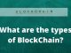 What are the types of BlockChain?