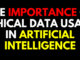 The Importance of Ethical Data Usage in Artificial Intelligence